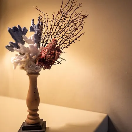 公寓 Casa Pazzi Dimora D'epoca *